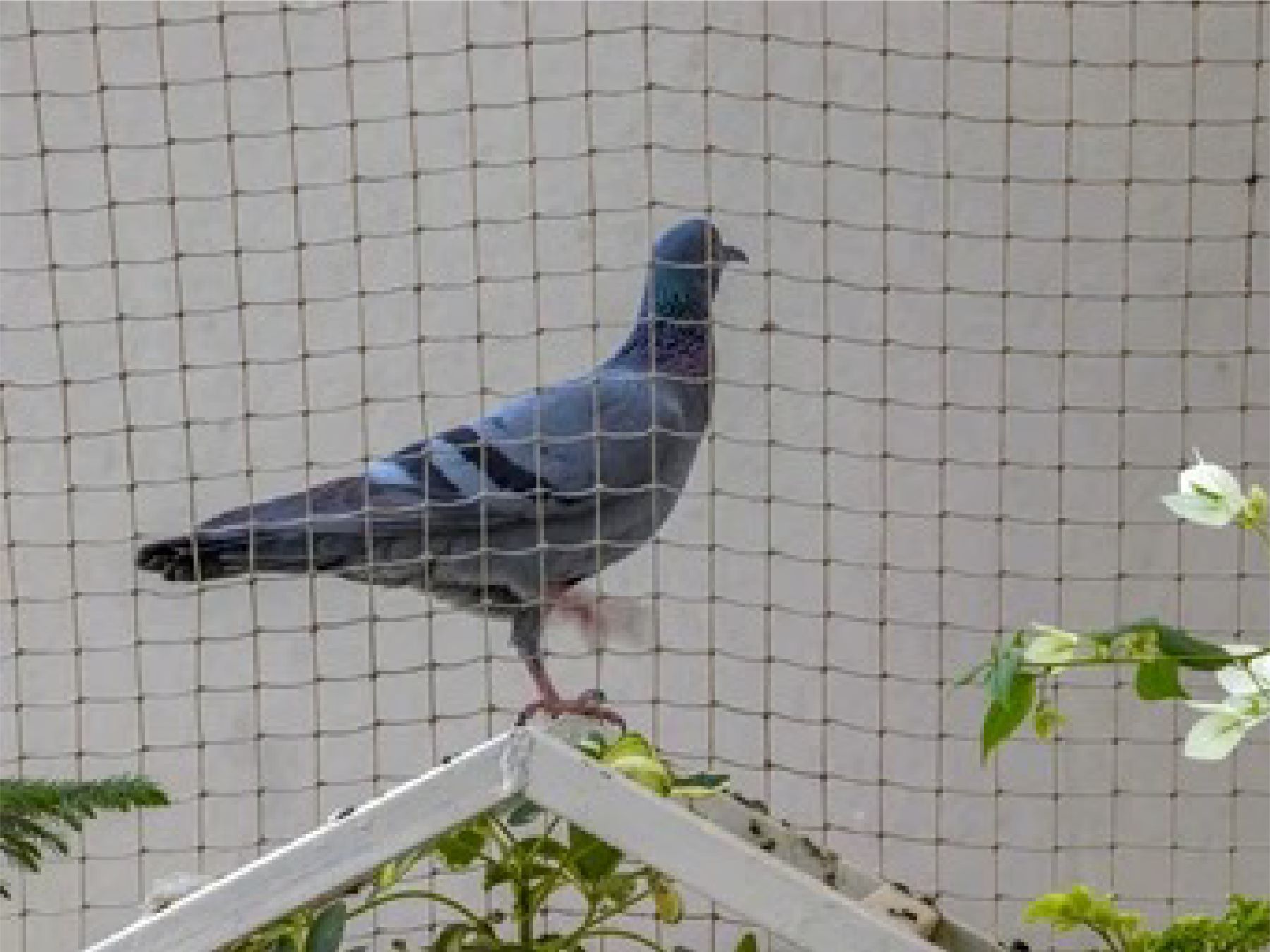 Lakshmi Safety Nets Manufacturer Secunderabad Lakshmi Safety Nets Manufacturer Secunderabad