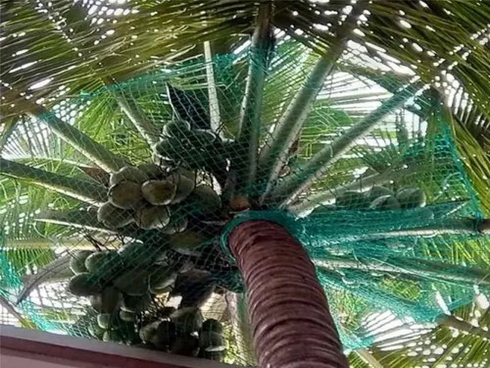 Portable Accommodation Manufacturers Chennai Lakshmi Safety Nets Manufacturer Chennai